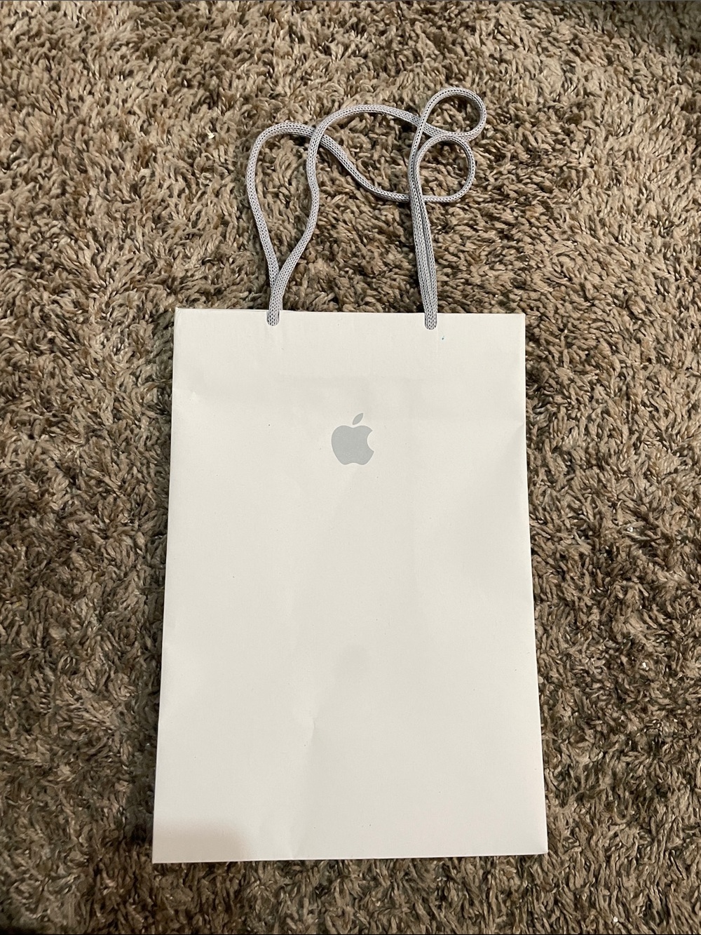Apple White Tote Gift Bag with Gray Rope Handles